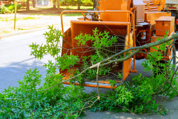 Best Pest Control for Lawns  in Lake Wilderness, VA