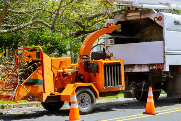 Best Commercial Tree Services  in Lake Wilderness, VA